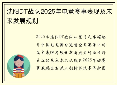 沈阳DT战队2025年电竞赛事表现及未来发展规划